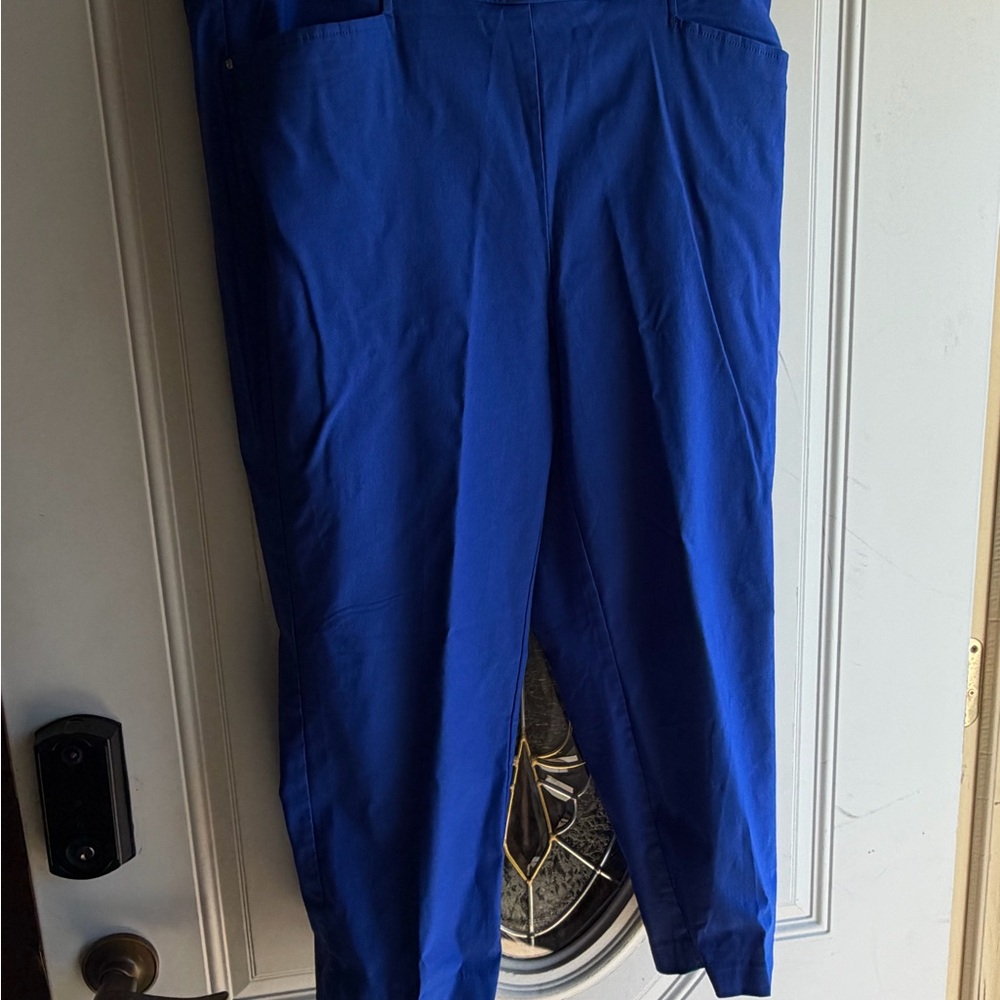 Rafaella Royal Blue Men's Chino Pants